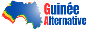 Alternative Guinée