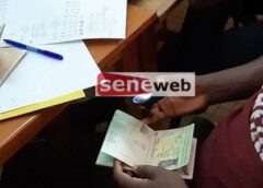 Usurpation d’identité sénégalaise : Un Guinéen tombe à Gouloumbo en même temps qu’un Egyptien