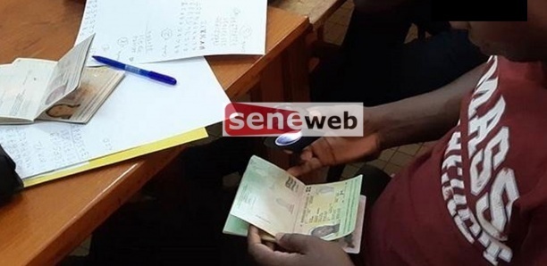 Usurpation d’identité sénégalaise : Un Guinéen tombe à Gouloumbo en même temps qu’un Egyptien